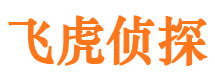 徽县市调查公司